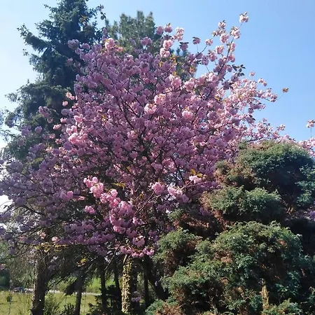 Im Gruenen דירה *