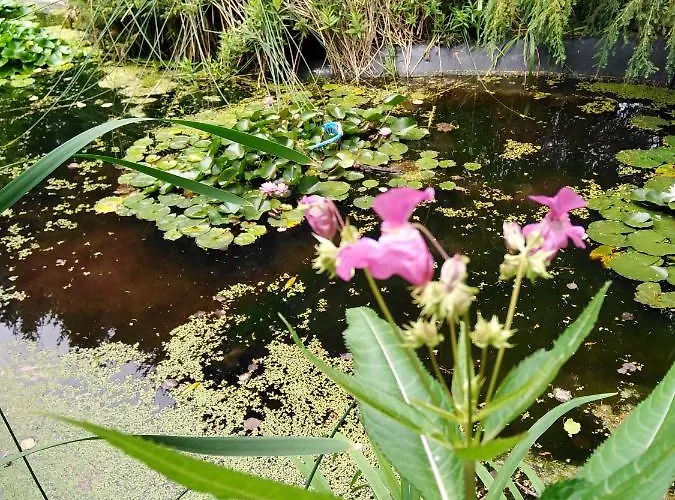 Apartament Im Gruenen Diesbar-Seusslitz